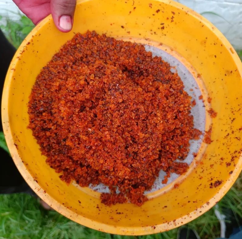 Washed seedlac on a sieve